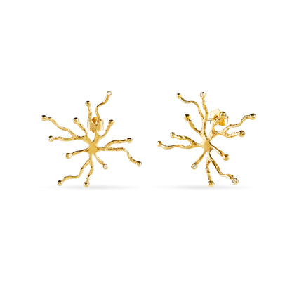 Brincos Coral Luminoso