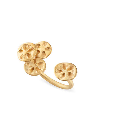 Anel aberto abraço apertado