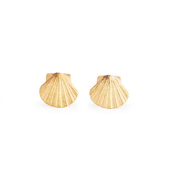 Mini scallop shell earrings