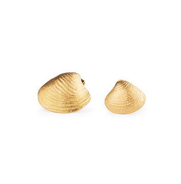 Mini ribbed shell earrings