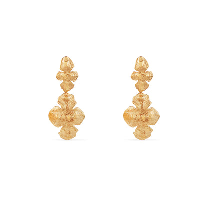 Brincos longos Rainha