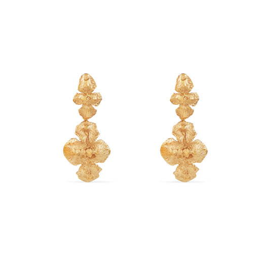 Brincos longos Rainha