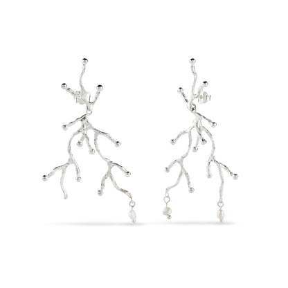 Brincos Ondas de Pérola