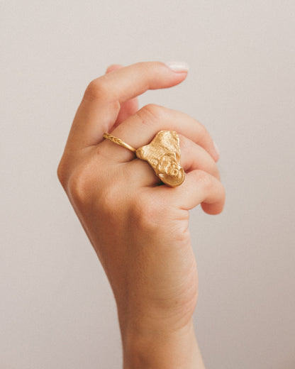 XL cowrie shell ring