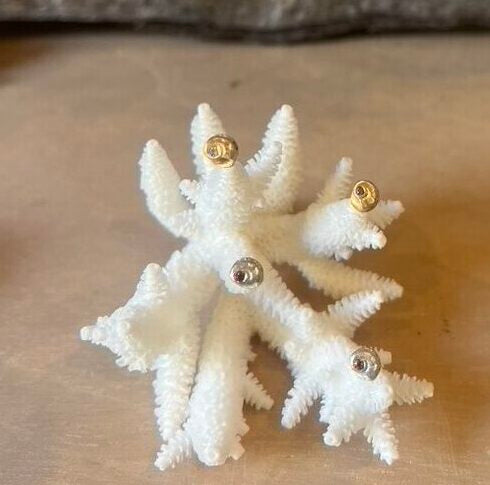 Mini cowrie shell stud earring with stone.