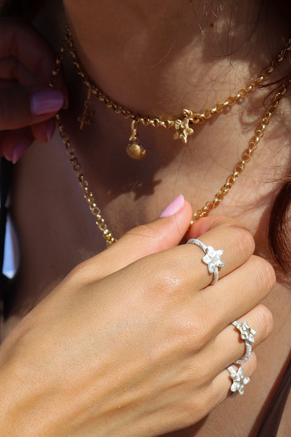 Berloque Concha simples