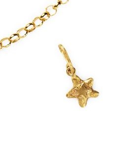 Starfish Charm